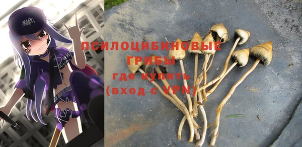 Альфа ПВП Краснослободск