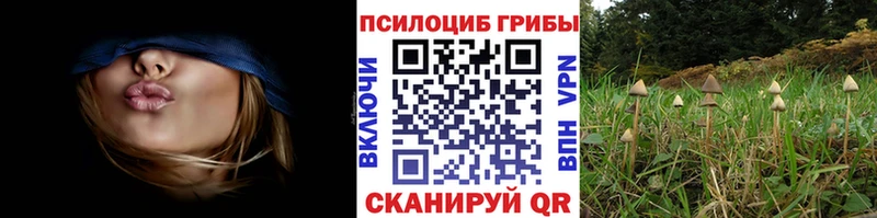 Галлюциногенные грибы MAGIC MUSHROOMS  Купить  Спас-Деменск 